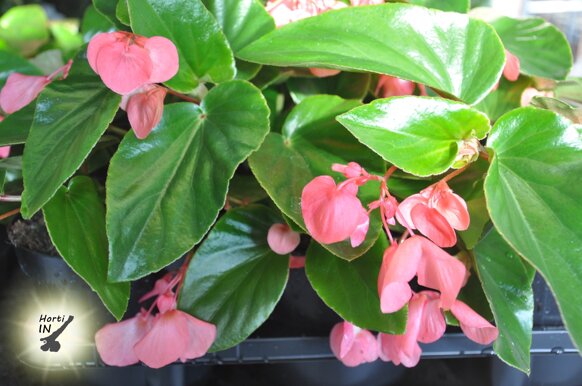 876811a7-f99d-460e-8c12-c82f11eeba2c