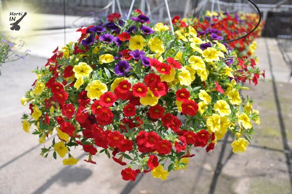 322a4bfa-f77a-4f1a-a98a-d629a830dc73