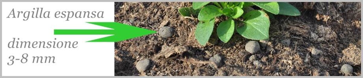 argillaespansaimmaginerit
