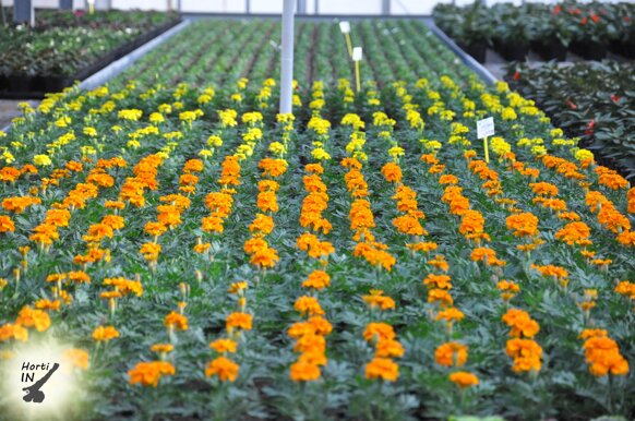 1ac3a93d-31af-40ee-bca4-8c1b1a56bd19 1ac3a93d-31af-40ee-bca4-8c1b1a56bd19