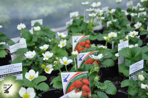 679684fc-5559-4365-8e22-a94e488c7fa2