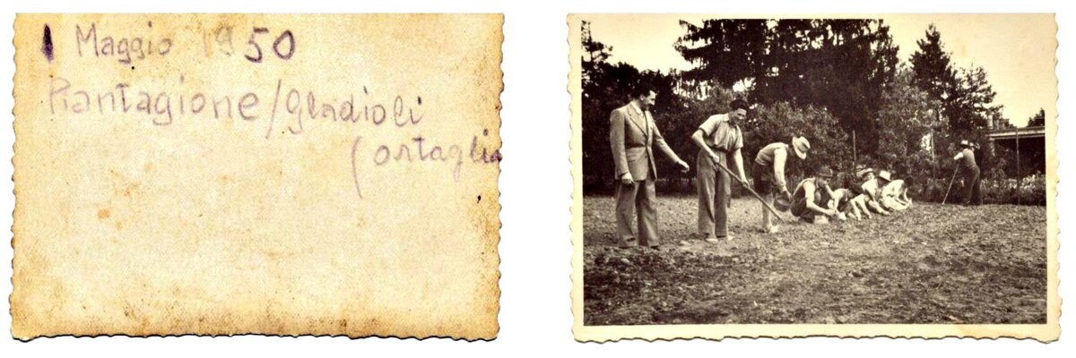 769f2b1e-710b-4566-b477-a3545d1c5264