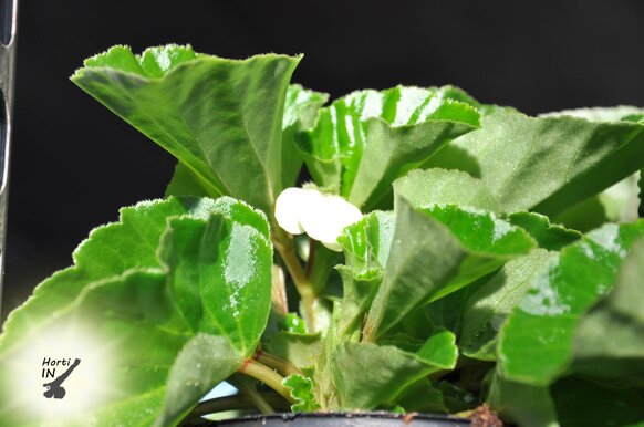 905d590c-5b20-421d-bc1f-e2dfc22a5539