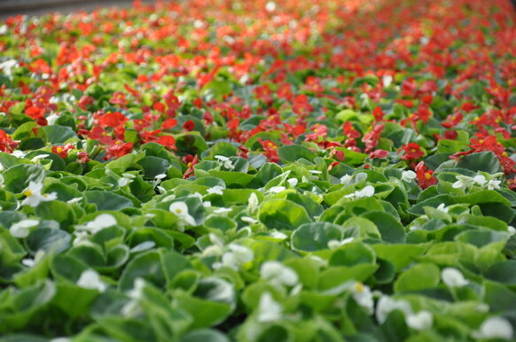 02f196c9-2f5c-4522-a706-383f5c38394a 02f196c9-2f5c-4522-a706-383f5c38394a