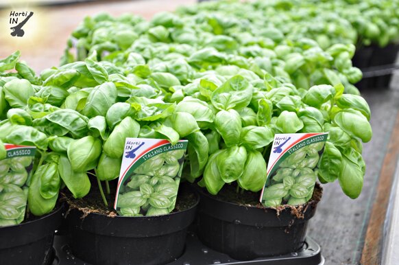 616c0d8b-1a4d-477a-9402-f9eaa84ab7df