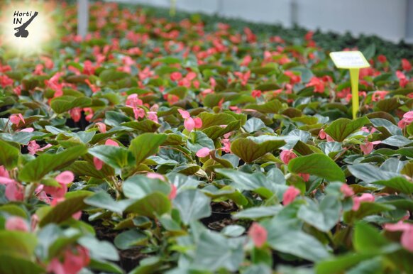 76cfc822-45f6-41b4-ba12-c4f480f9f566