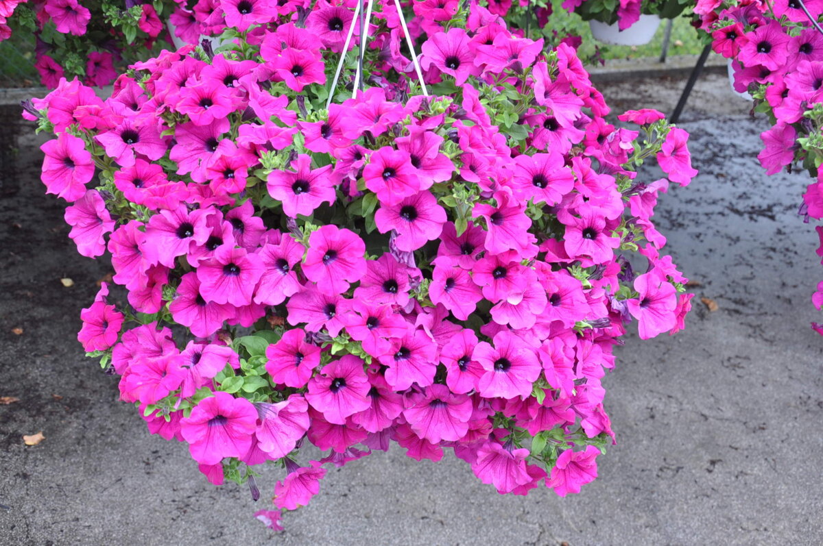 8dfbc602-5240-4602-b127-0047dd844686 8dfbc602-5240-4602-b127-0047dd844686