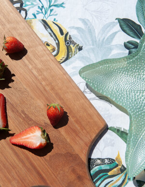 dsc_3915%20copia.jpeg dsc_3915%20copia.jpeg