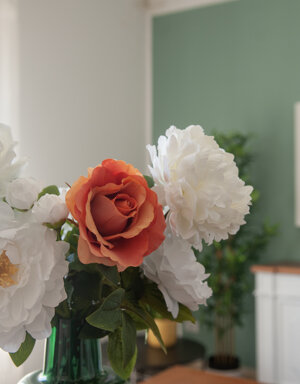 dsc_3622%20copia.jpeg dsc_3622%20copia.jpeg