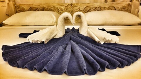 173aede9-9f99-40a8-97c5-4a87b9cc5365