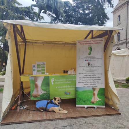 2ea2c9ab-786d-46e5-84dd-18034cbc56fb