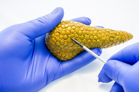 ea2dba64-c634-444b-9bc3-d24941e8e73a ea2dba64-c634-444b-9bc3-d24941e8e73a