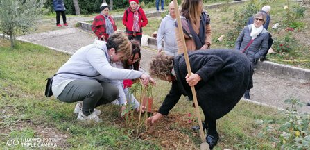 709739c6-5f09-4c0b-8cad-c0634dd84099