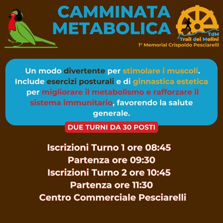 fc132f69-4886-4371-9c00-bc4ae09fec76