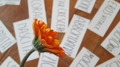 2bc98aa6-ae07-4d21-8d0f-882cd12949c2