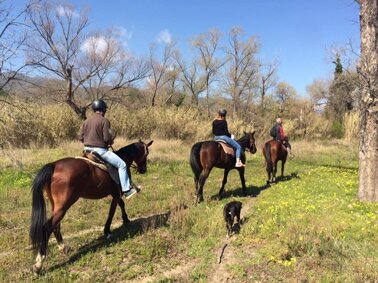 6d916638-961d-474b-85c5-7752fbec660a