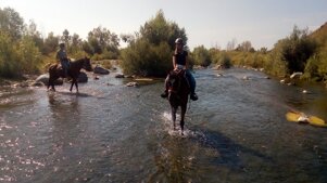 63a19a3f-5638-4856-8663-a9b41b441f4c