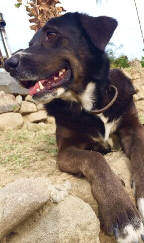 339b3c60-fc16-414f-8a0f-27246c8d1e8d