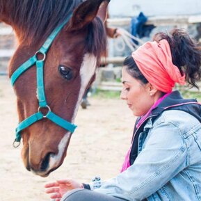 ea2e9532-a341-49c3-9d8a-b351f165da9e ea2e9532-a341-49c3-9d8a-b351f165da9e