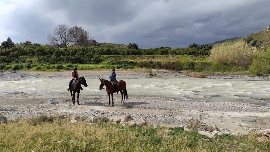 00498450-b8de-4ff3-83cf-c9a05cc63db3