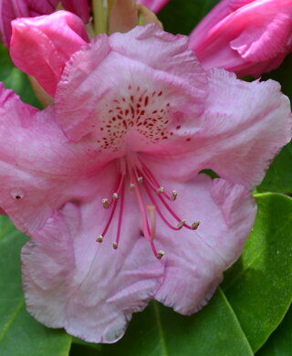 dsc_2465.jpeg