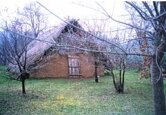 archeolog