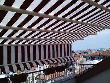 tendedasole tendedasole