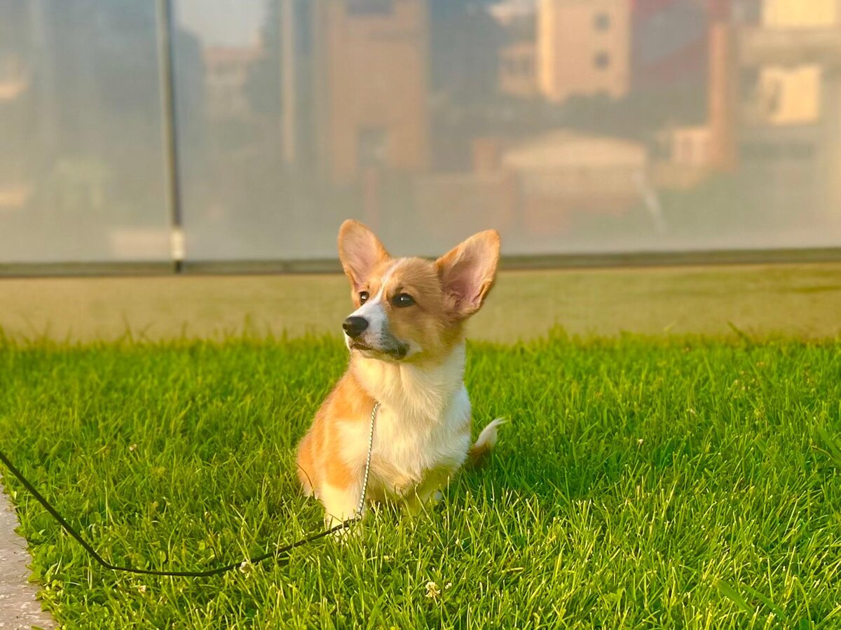 551e2e8d-3712-4560-a621-da76c6b1d399.jpeg