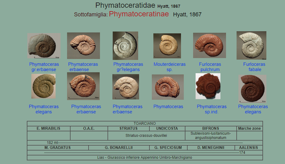 cfbf2d4c-f994-4cf0-88a1-f985bc38c748