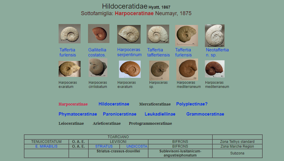 c7fa1e11-18f5-433b-a007-9aae7fea8788