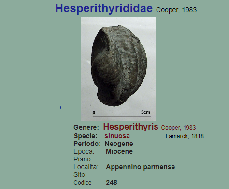 7bea173d-4be3-4a47-9984-4f1a31dda054