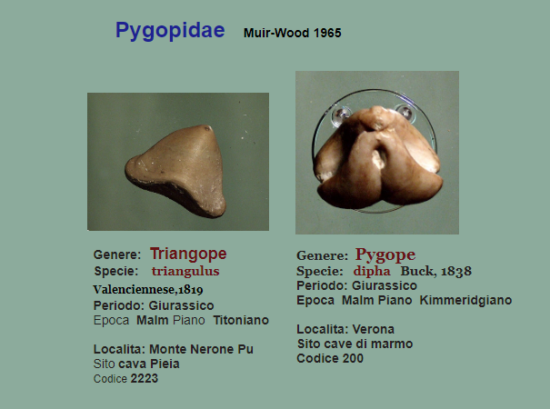 769c68c1-b80a-49c6-a32b-6cbfa1b5e12c