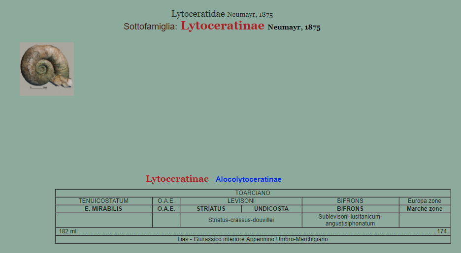 88e5b5b6-27d7-4fba-b8d4-34d1a786c053