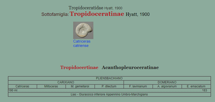 29ae9ed7-2291-4cd8-94ad-4cf33123a444