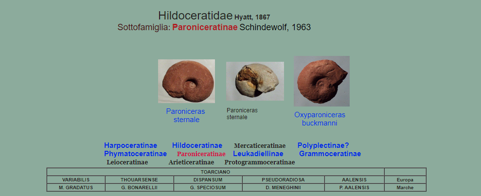 7209857a-d1f4-4fd4-844a-f42142731c43
