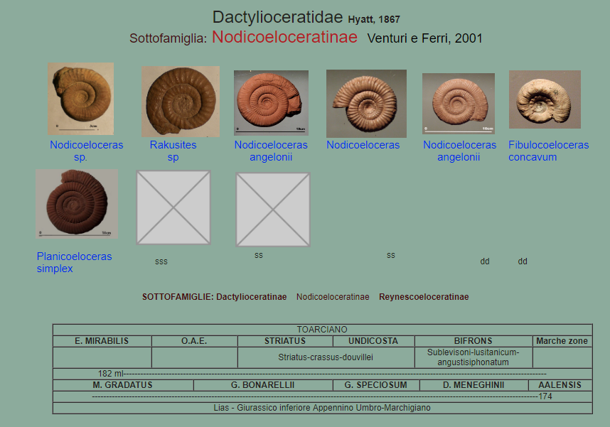 c78c0369-382a-4d57-bd79-e3310608757b