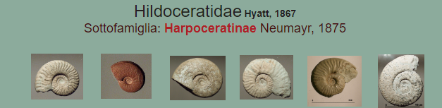 27aa6e26-e97f-47d7-afd3-370652d9dad6