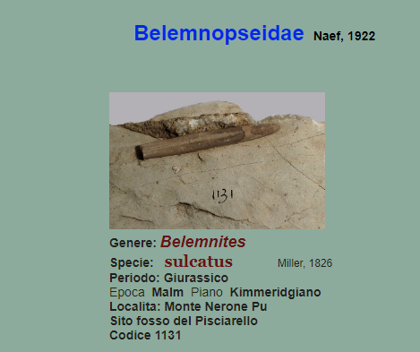 15e27a61-7bf8-4ea2-b095-3a76f930b568