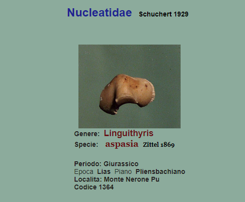 6b9ee839-8ef0-4360-a91d-fe86367ca4c6