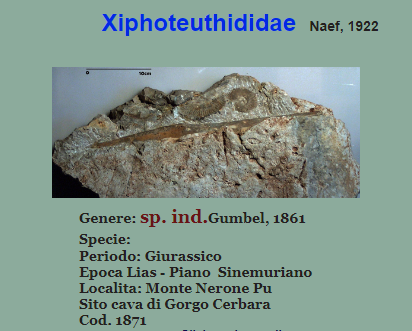 1528f4fa-0d18-4223-8ef5-d3917455d859