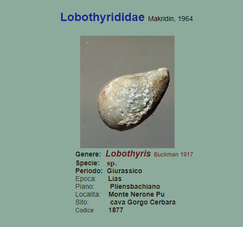 1e4cafd1-a990-4c20-8b4f-726bd0ec85b2