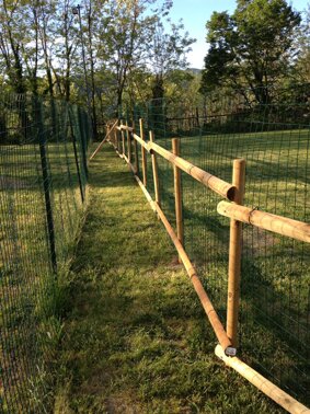 cc6c618e-02c8-482e-8330-5b373def82a5