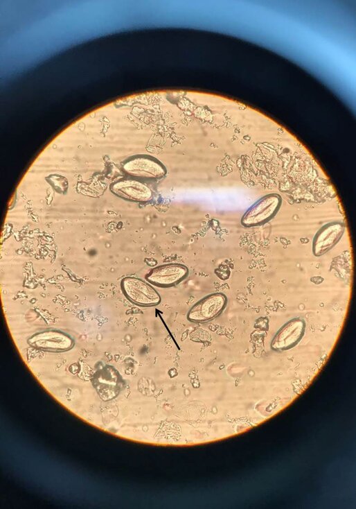 53a9520e-23d0-4ea4-b38a-8b4e5aba8dd6