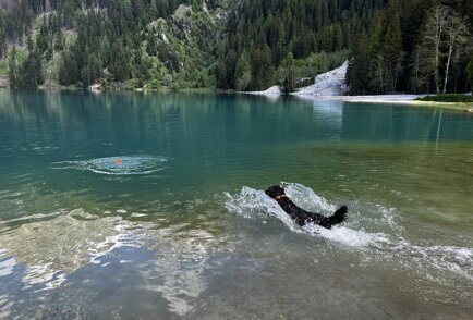 bbbaad12-a140-4099-a882-cb61b97cea13