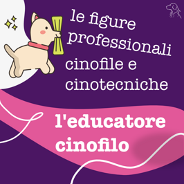 55ad4b96-9b82-4918-a97f-82e8ed82a4bf