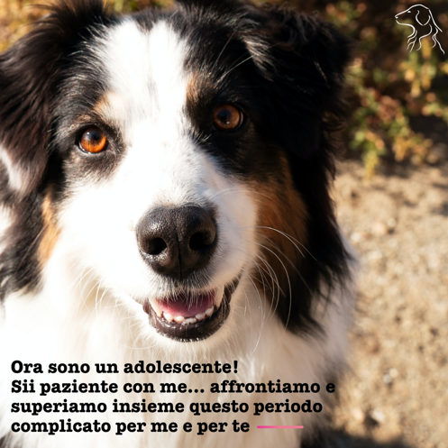 e164762b-9e7e-4d46-9a96-66b4c31420d3