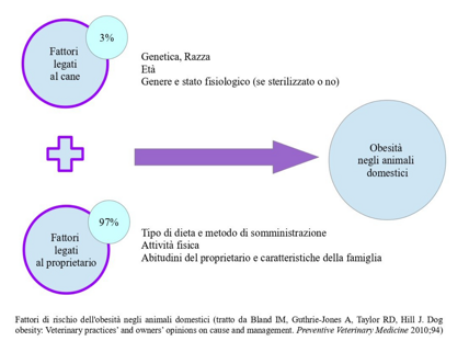 7c5e1982-6624-474e-aeeb-d79202b13745