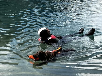 51c8899b-6421-44c1-8b0a-43256931d7f6