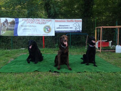 dcbe26b3-0835-49e8-b6d1-c88dda8bf8fe