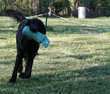 15133e38-1bcb-4017-9d0e-44f5262acb98